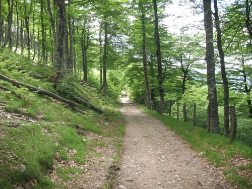 France and Spain 2009 072