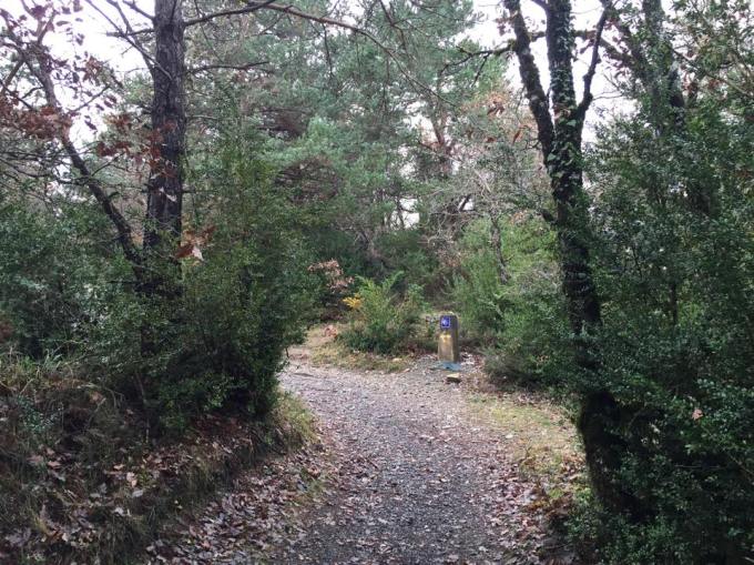 11347_885406064825266_2030718928067022284_n