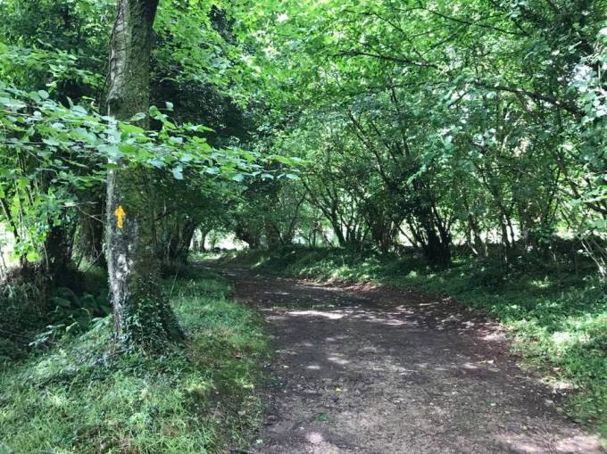 19748687_1642858512413347_7235860910410888385_n